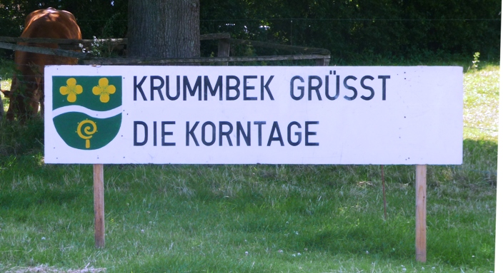 2017-Strohfiguren-Krummbek-01