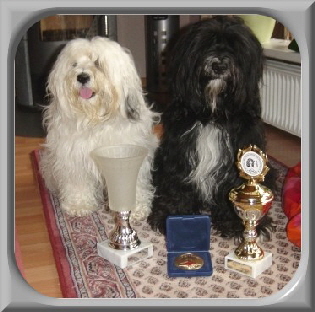 Basco Champ ILT und Dara Basco Champ ILT und Dara