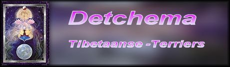 banner_detchema02