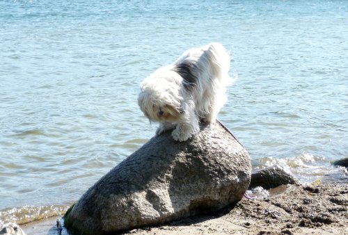 dara_11Jahre_12 dara_11Jahre_12