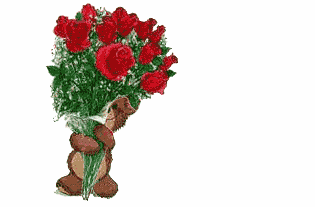 Blumen Gratulation Blumen Gratulation